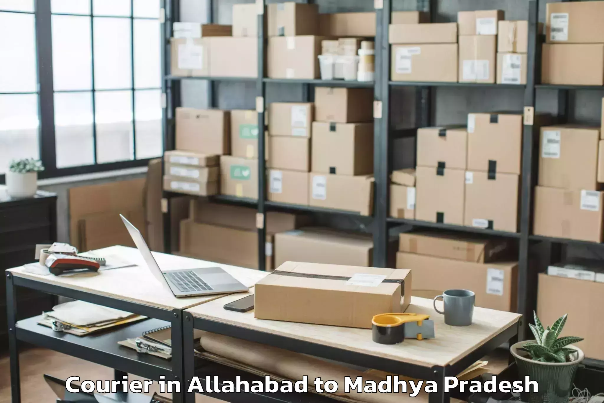 Professional Allahabad to Manawar Courier